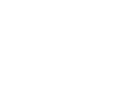 Developer